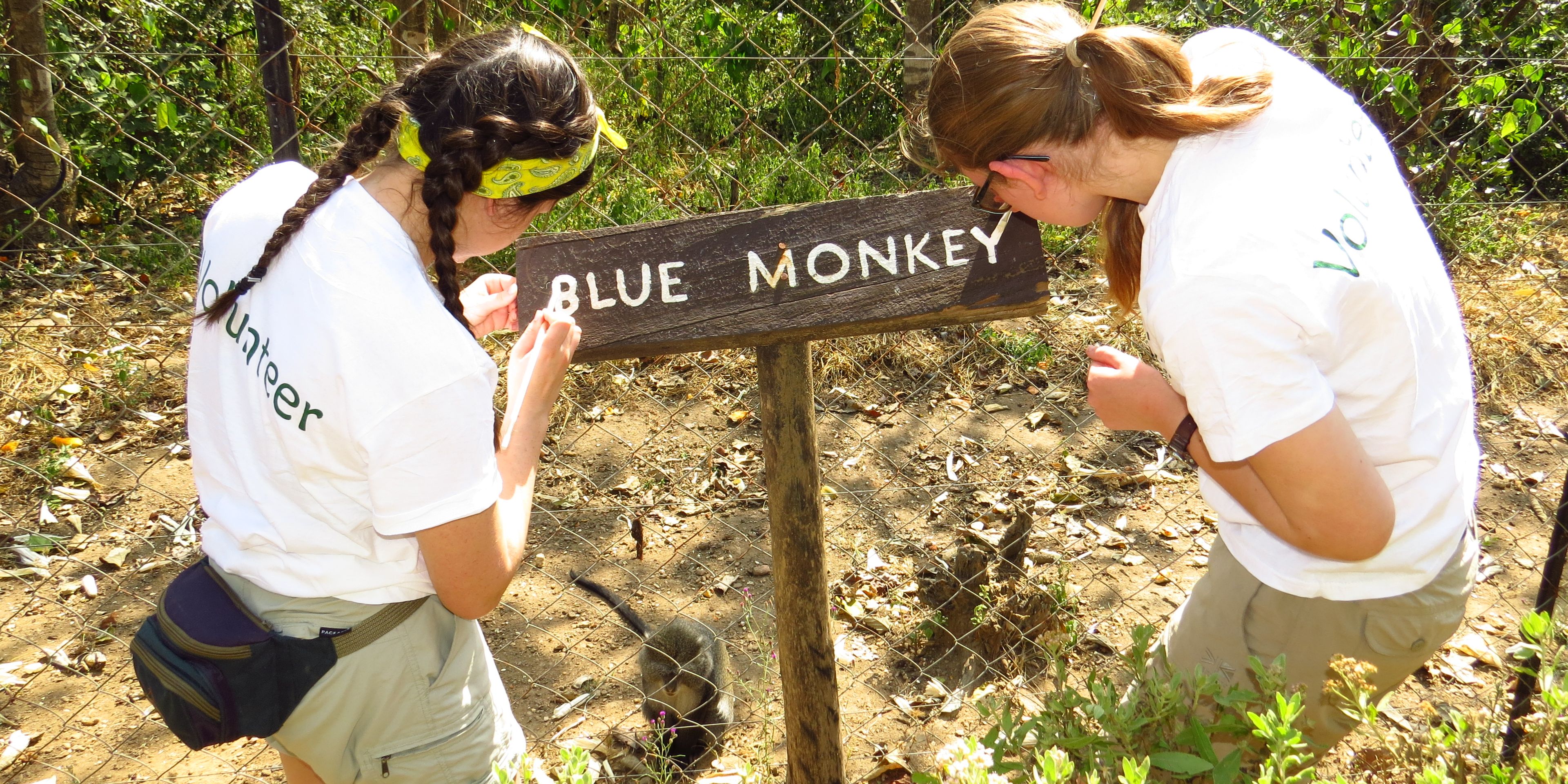 natucate-volunteering-malawi-sanctuary-maintenance-work