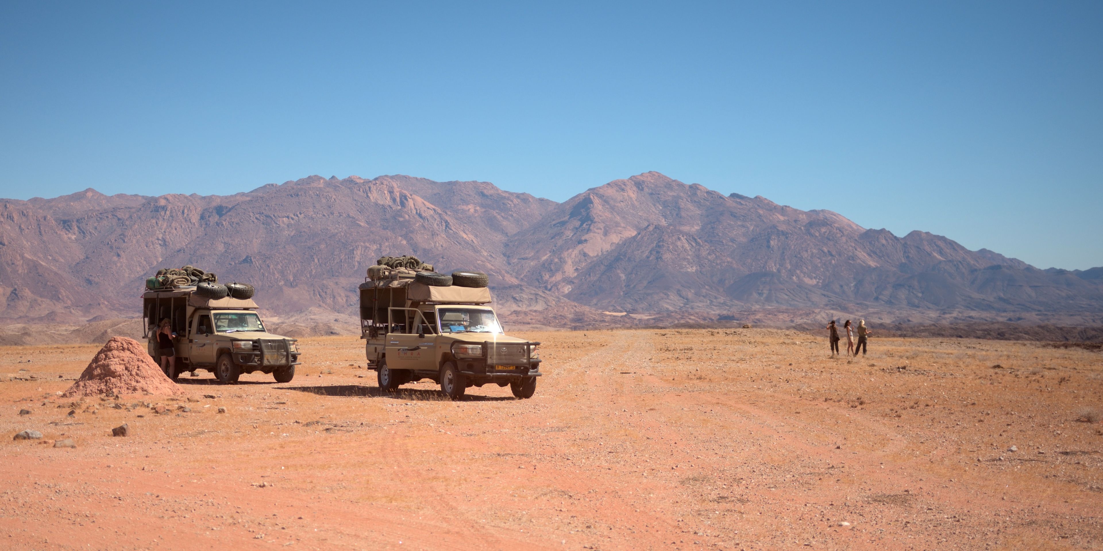 freiwilligenarbeit-namibia-elefantenschutz-wuste-autos-2024