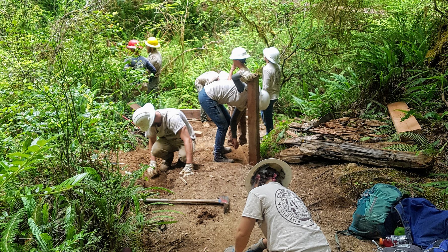 landingpage-natucate-conservation-scholarship-volunteer-abroad-usa-california-national-park