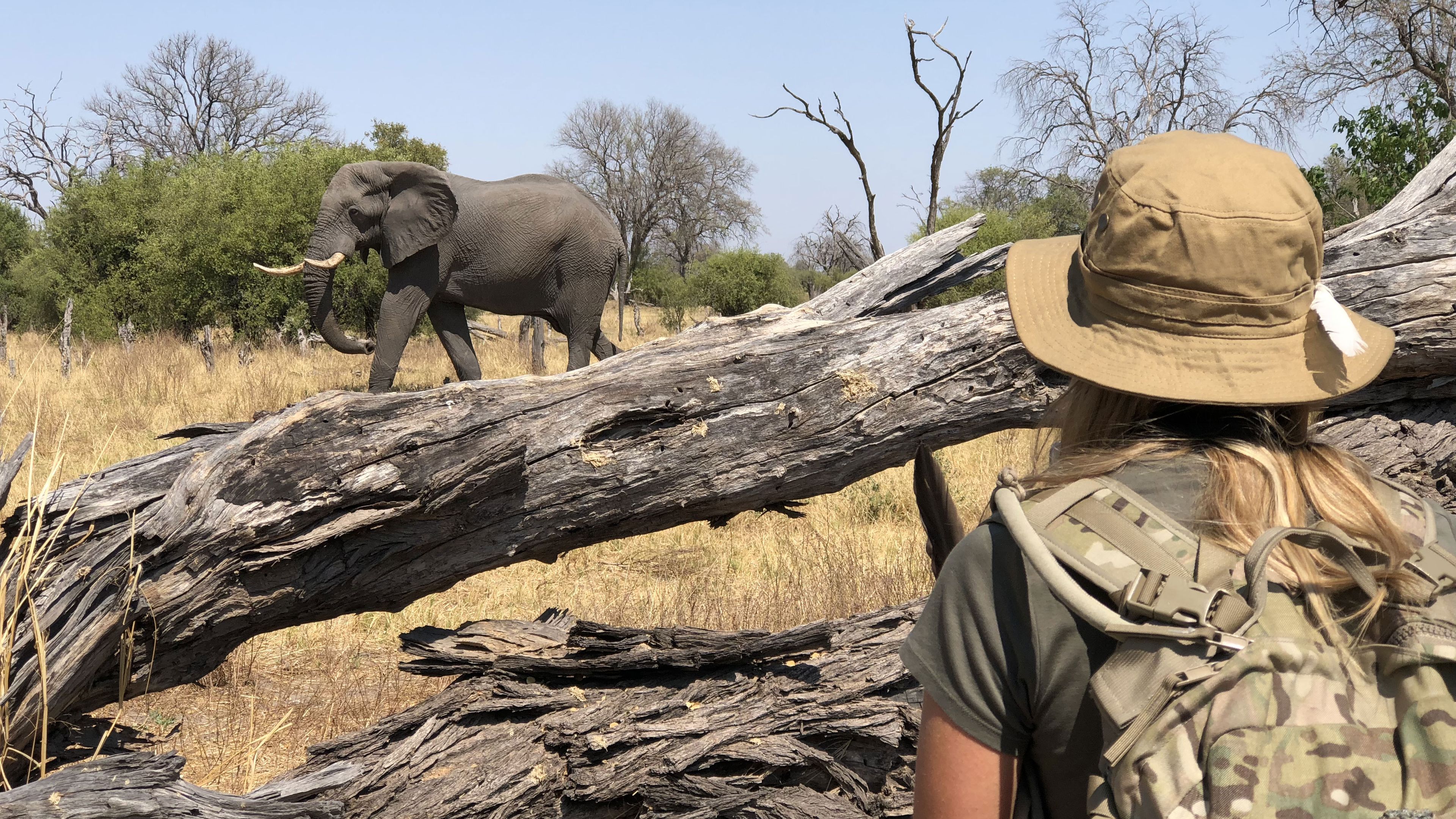 Kursteilnehmerin des Ranger-Schnupperkurses beobachtet einen Elefanten in Suedafrika