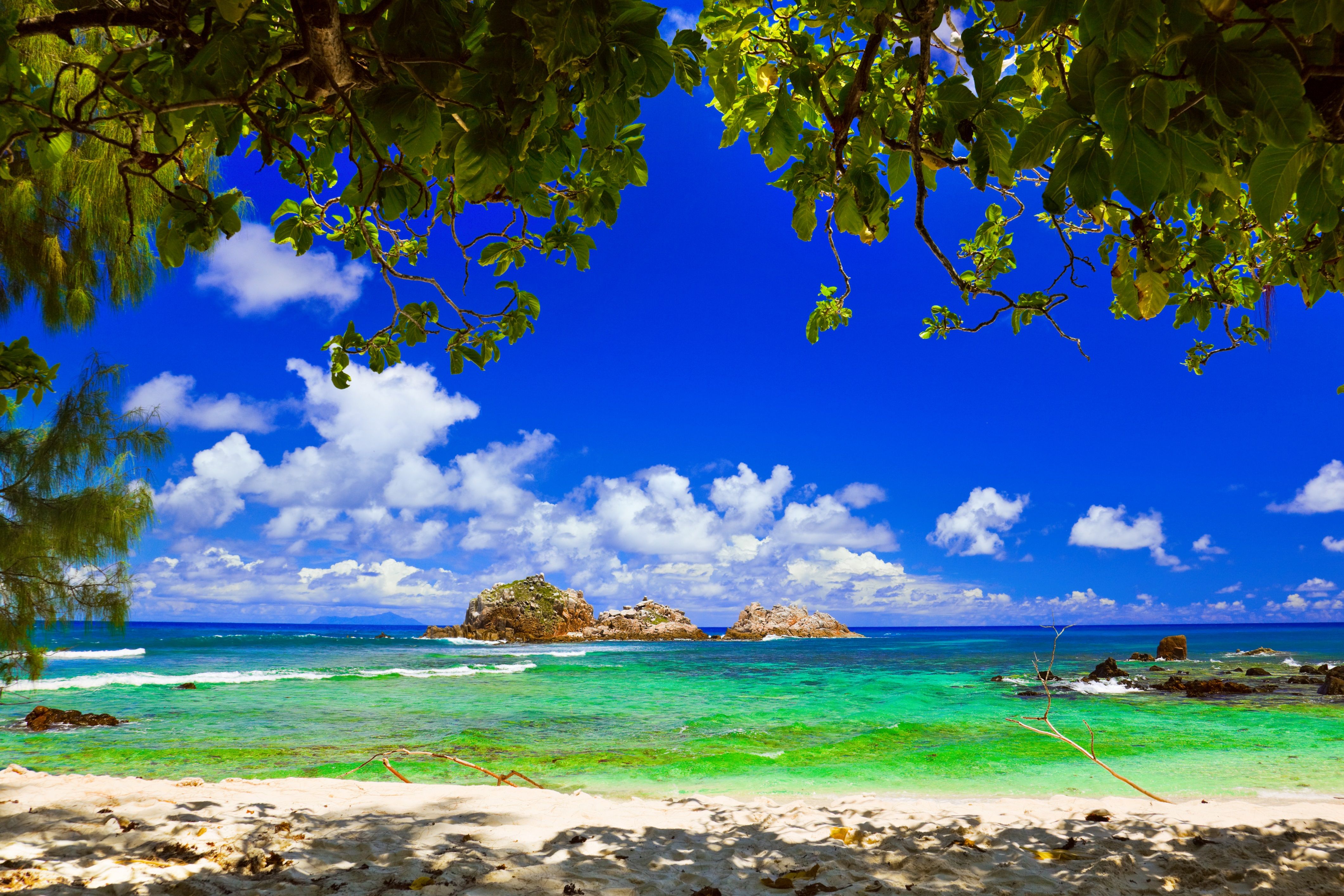 Natucate Blog – Seychelles: Cousin Island ⋅ Natucate