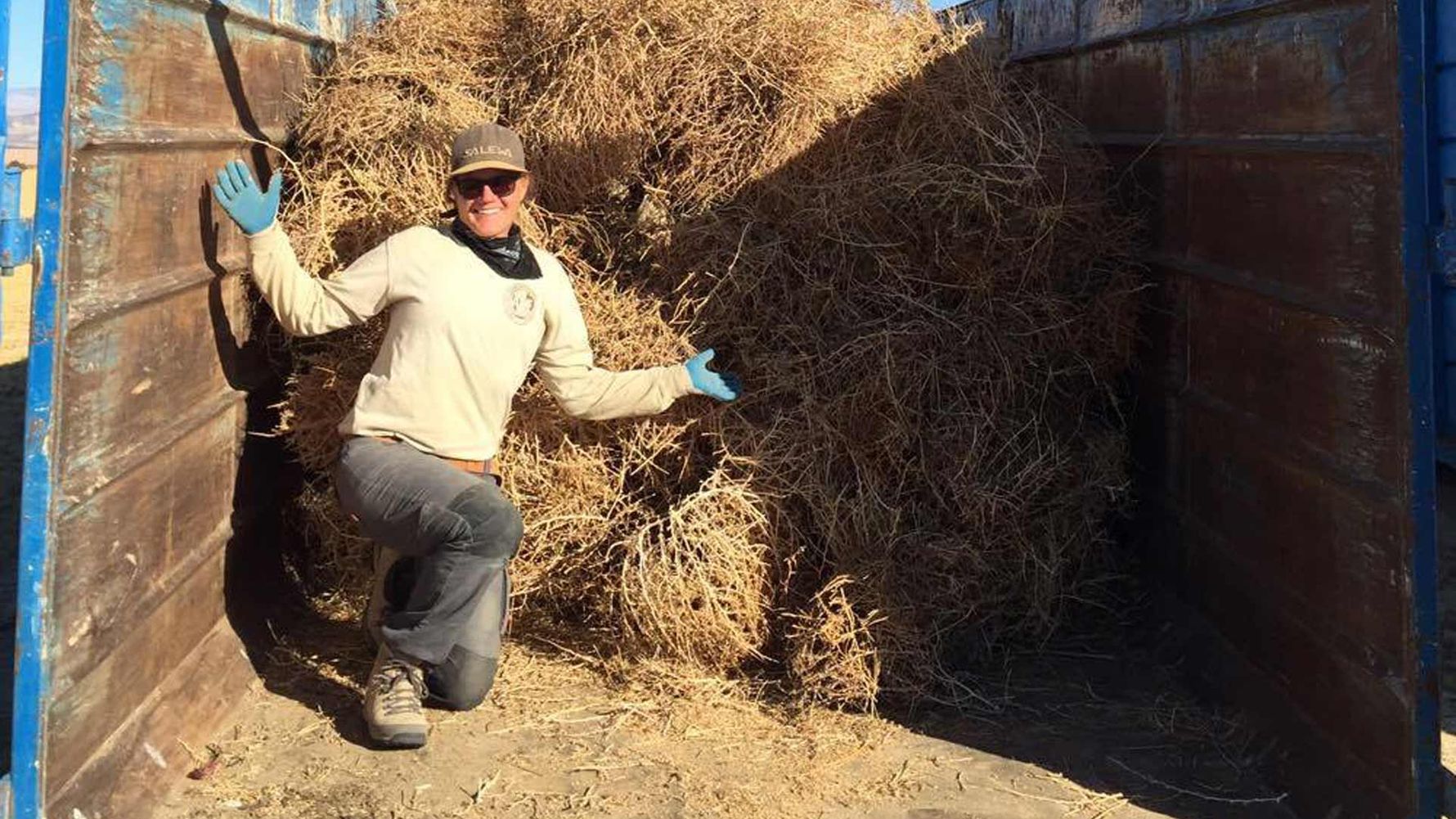 freiwilligenarbeit-usa-kalifornien-erfahrungsbericht-naturschutz-natucate