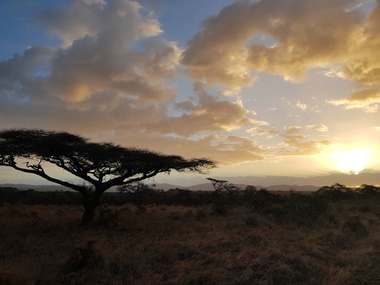 erfahrungsberichte-freiwilligenarbeit-artenschutz-suedafrika-zululand-svenja-savanne-natucate