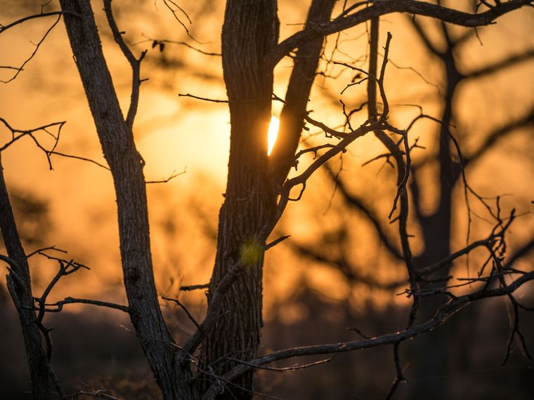 blog-sabbatjahr-steuern-sparen-im-sabbatical-sonne-natucate