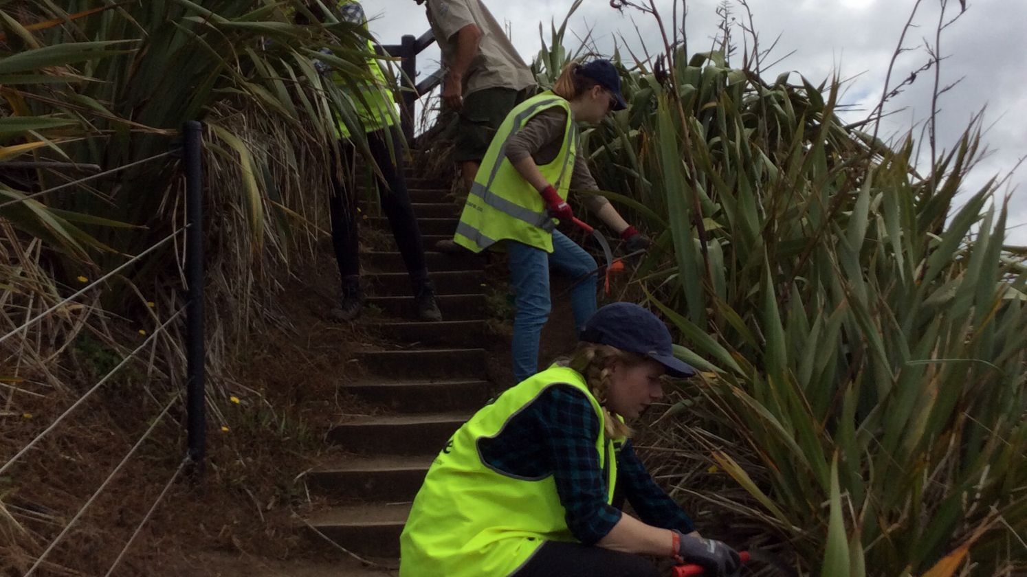 Volunteere bei der Arbeit fuer den Naturschutz