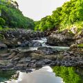 River and vegetation in Mauritian Black River Gorges National Park