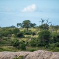 natucate-greater-makalali-private-game-reserve