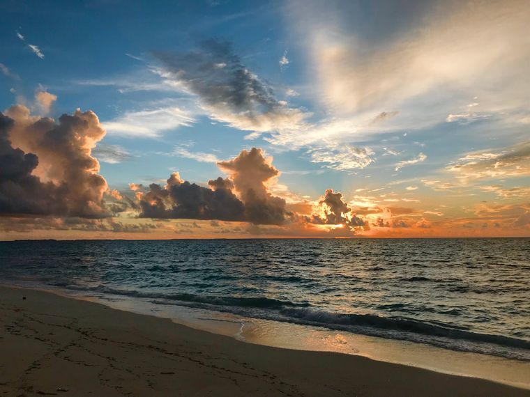Rangerausbildung: Blick vom Strand auf den Ozean mit wolkenreichem Himmel