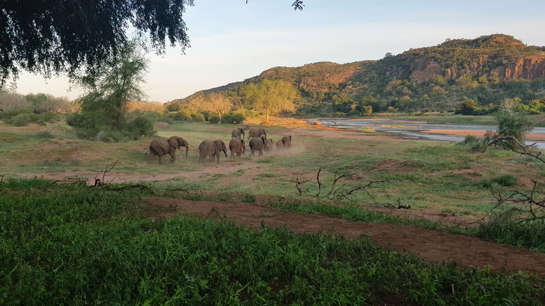 blog-news-projektbesuch-ecoquest-suedafrika-elefantenherde-natucate