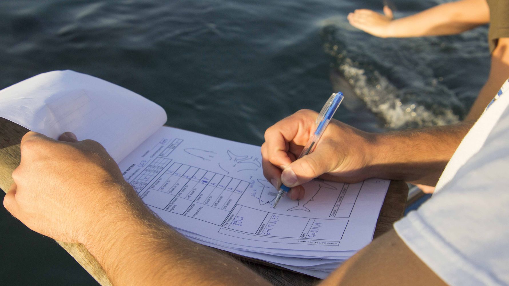 landingpage-auslandsjahr-abitur-auslandspraktikum-suedafrika-natucate