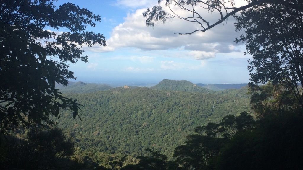 erfahrungsberichte-sabbatical-australien-afrika-naturschutz-silvia-aussicht-natucate
