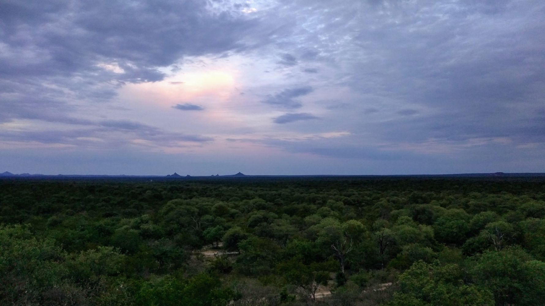 erfahrungsberichte-rangerkurs-field-guide-level-1-suedafrika-marilen-abend-natucate
