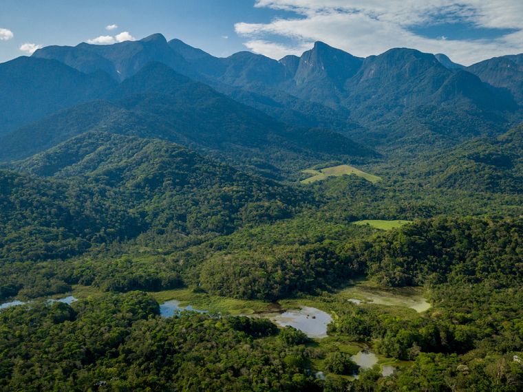 freiwilligenarbeit-brasilien-waldschutz-natucate