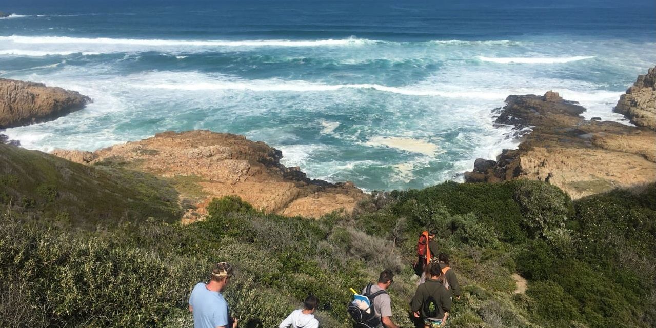 Eine Gruppe Marine Guide-Studenten wandert an der Kueste von Suedafrikas Ostkap