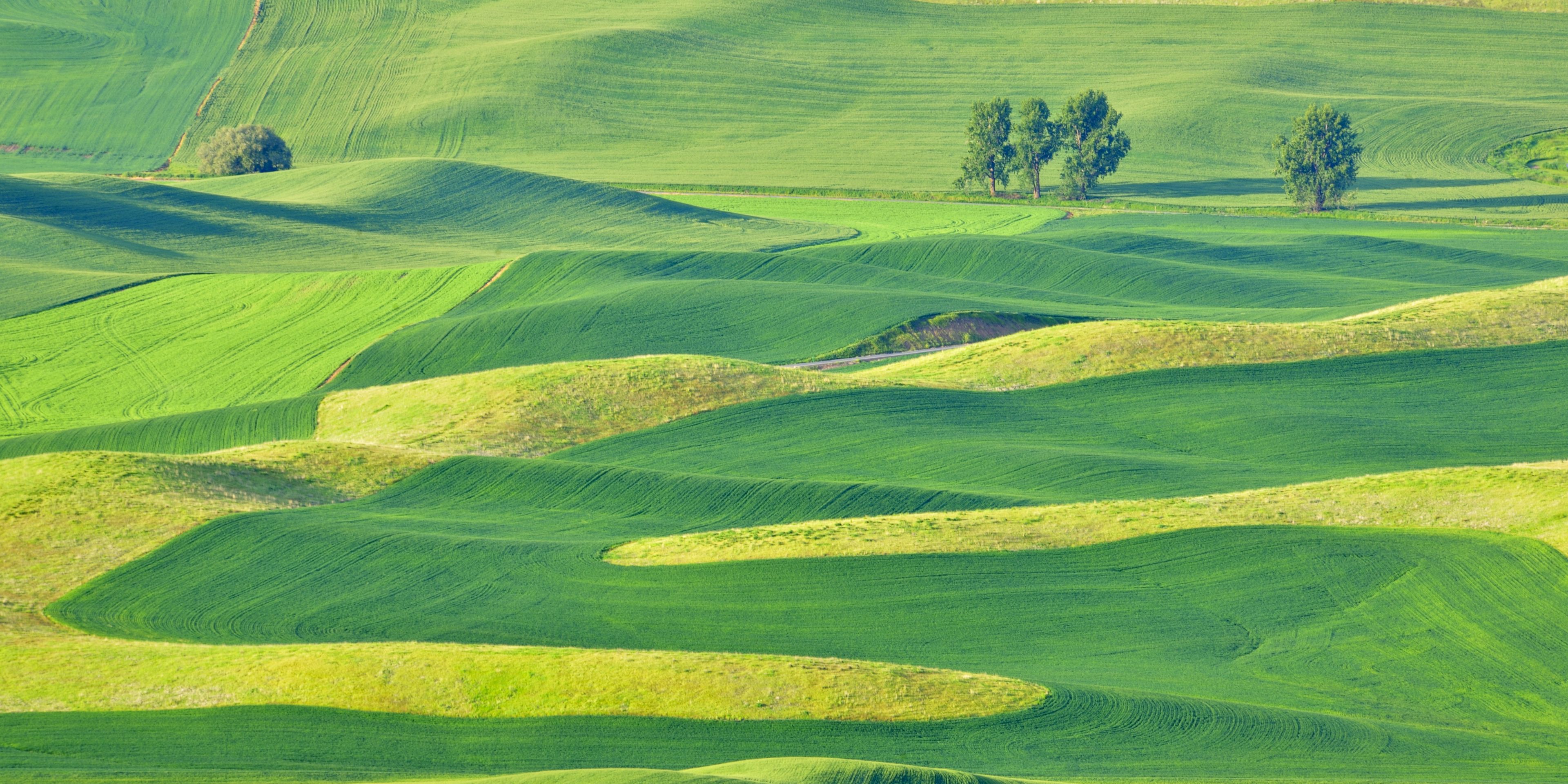 auslandspraktikum-usa-nordamerika-obstbau-felder-natucate