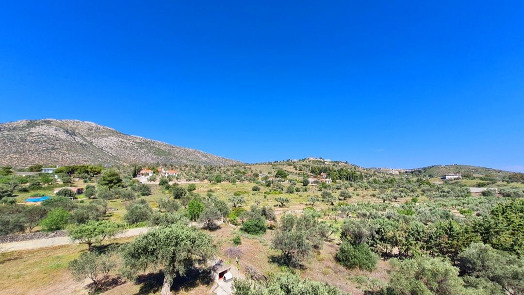 freiwilligenarbeit-griechenland-tierschutz-elli-31