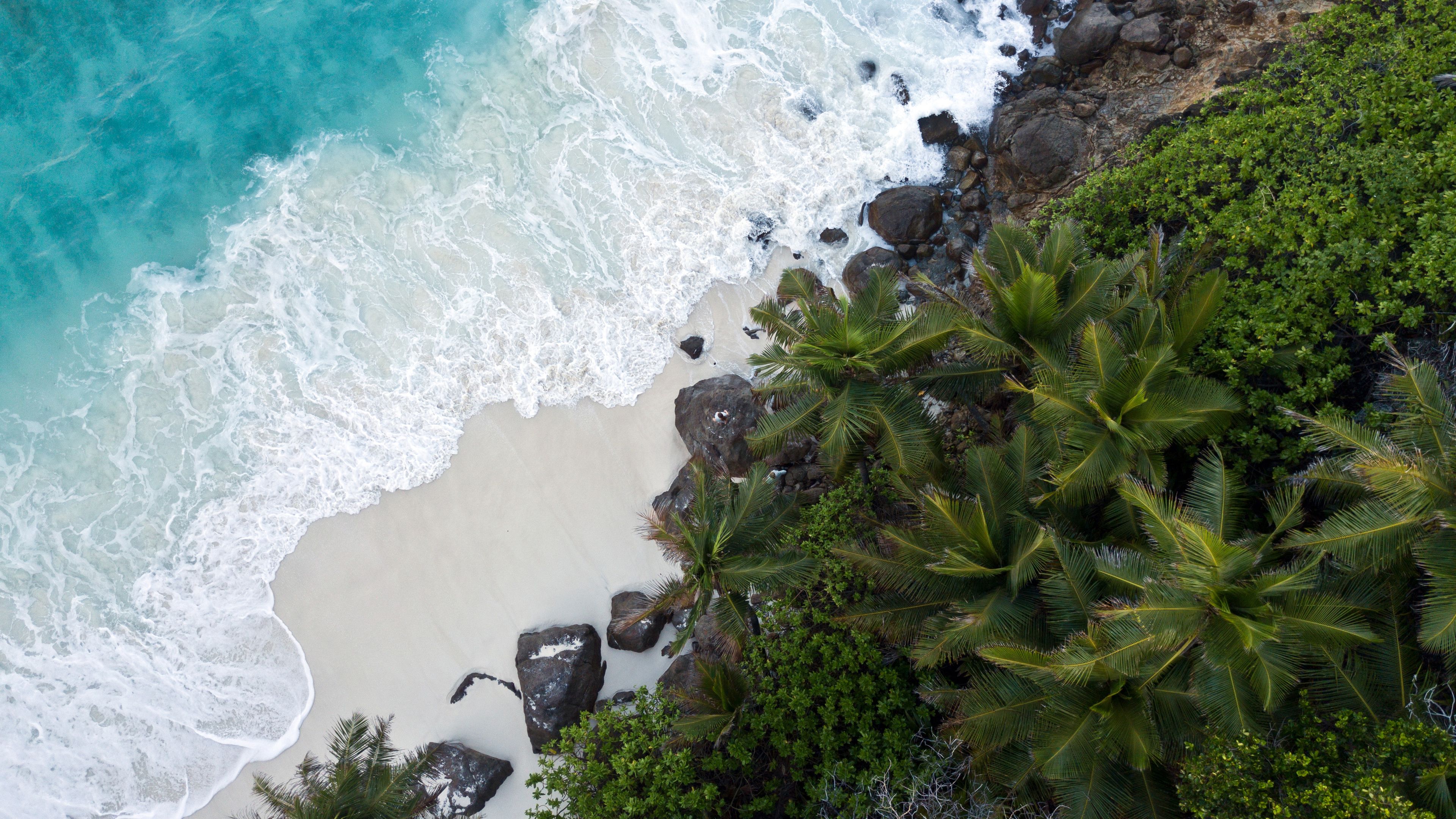 Drone shot of North Island in the Seychelles: The indian Ocean meets the island's palm beach