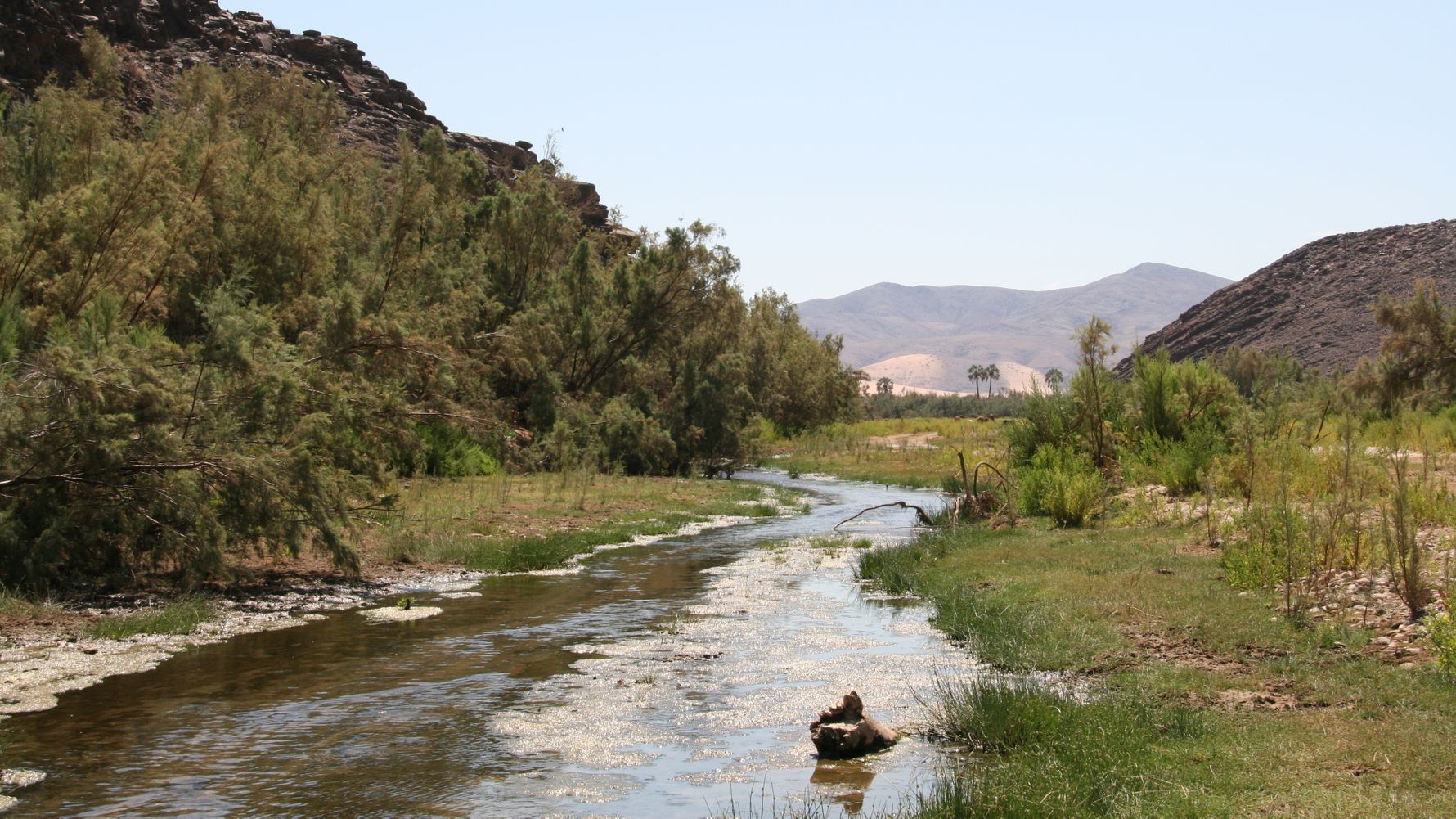 landingpage-safari-namibia-schlucht-natucate