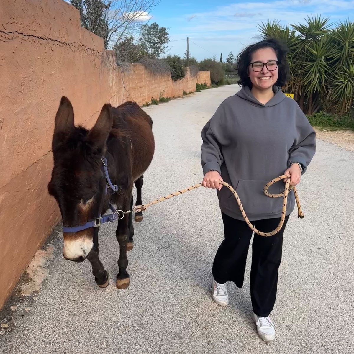natucate-erfahrungsbericht-griechenland-tierschutz-jasira-esel-quer-spaziergang