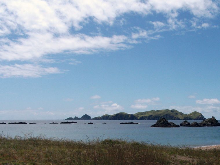 erfahrungsbericht-freiwilligenarbeit-naturschutz-neuseeland-allene-meer-natucate