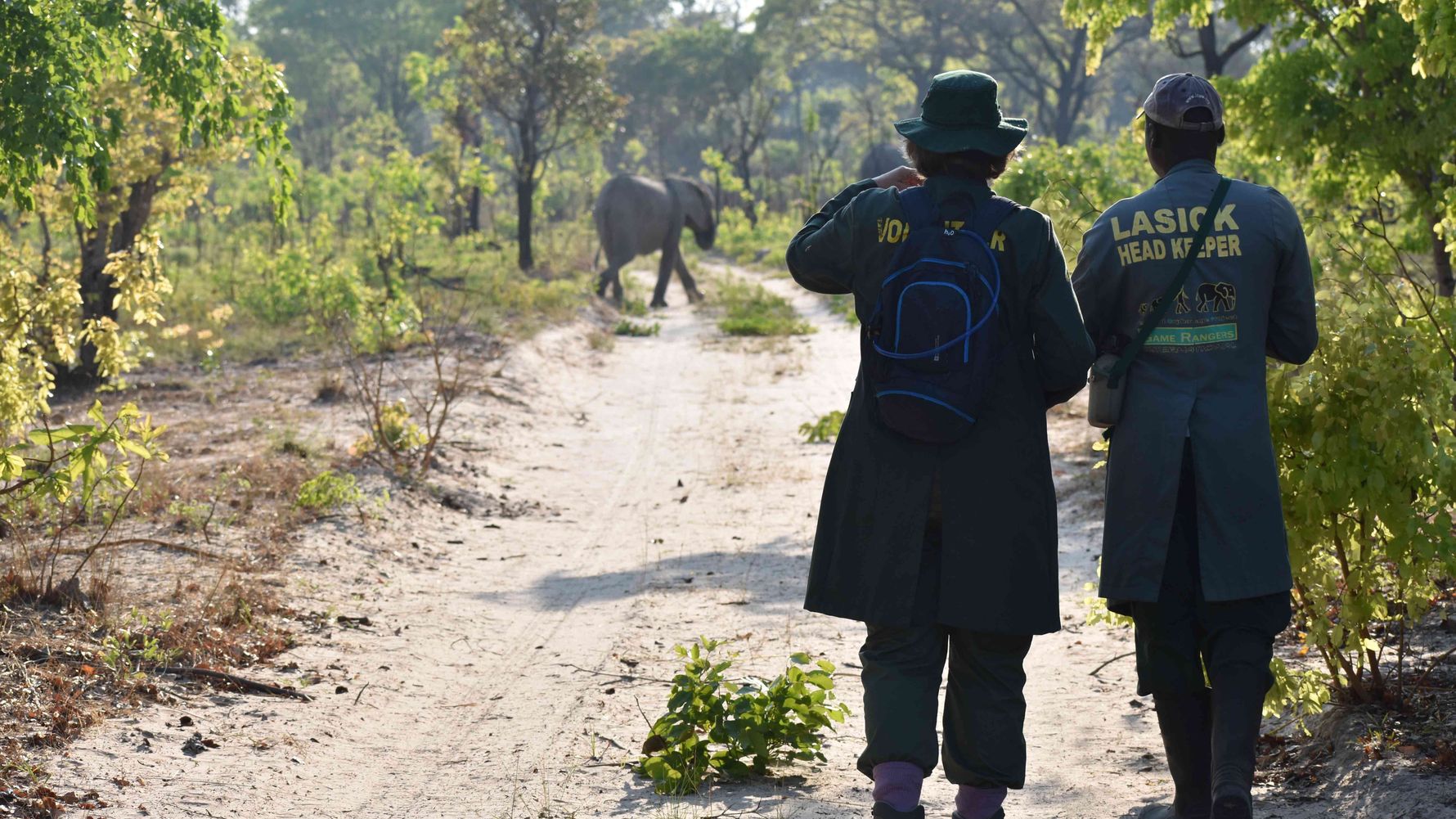 landingpage-freiwilligenarbeit-elefanten-afrika-sambia-volunteers-natucate