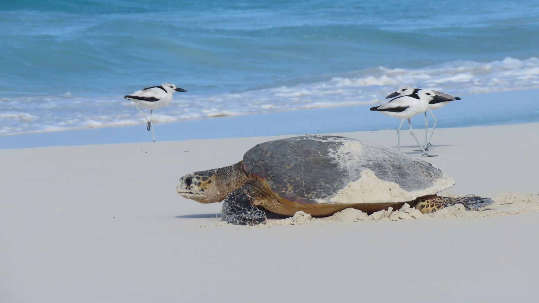 erfahrungsbericht-seychellen-kundenfotos-sabbatjahr-natucate