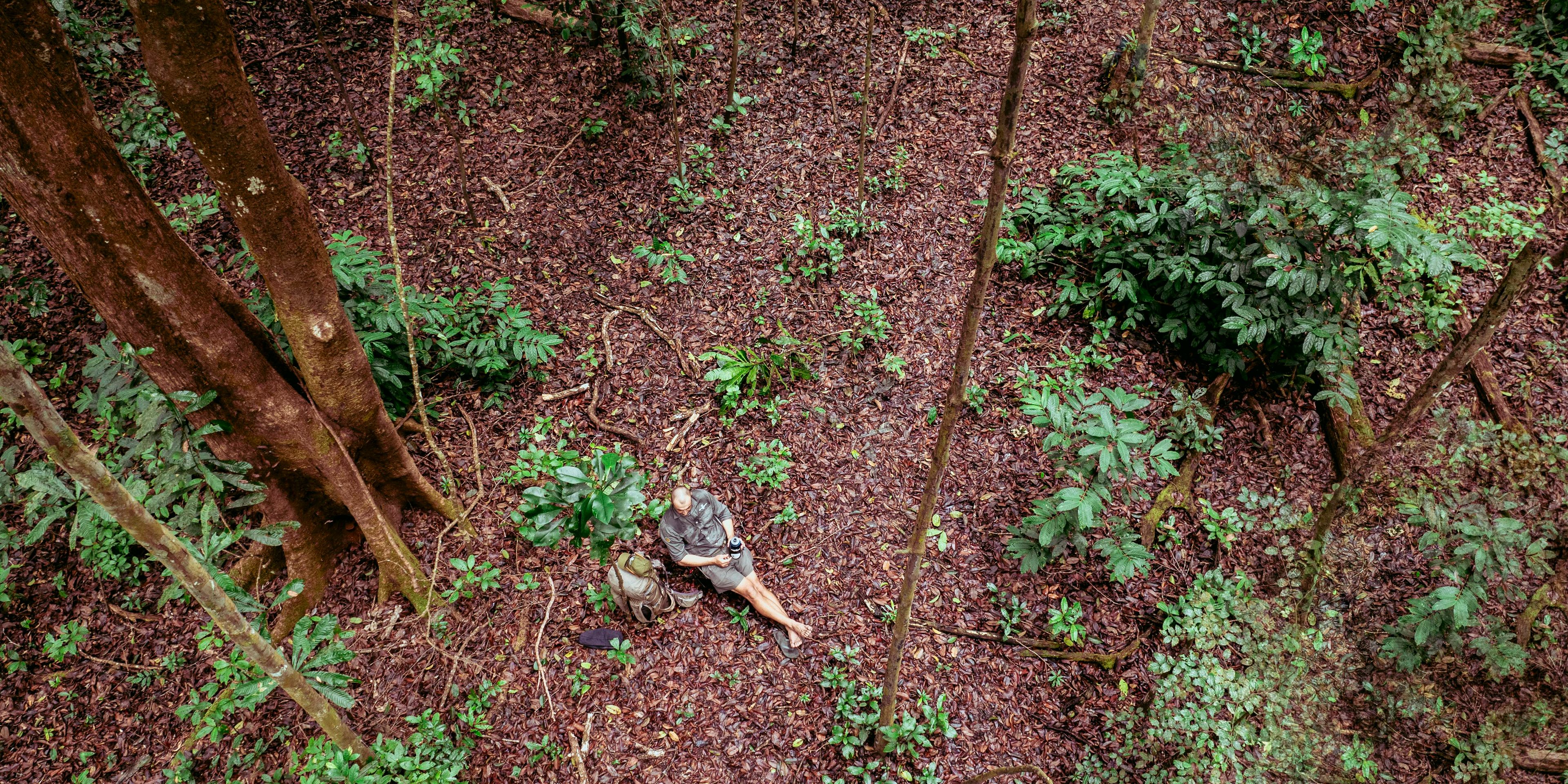 natucate-nature-travel-gabon-wilderness-trails-rainforest-rest-person