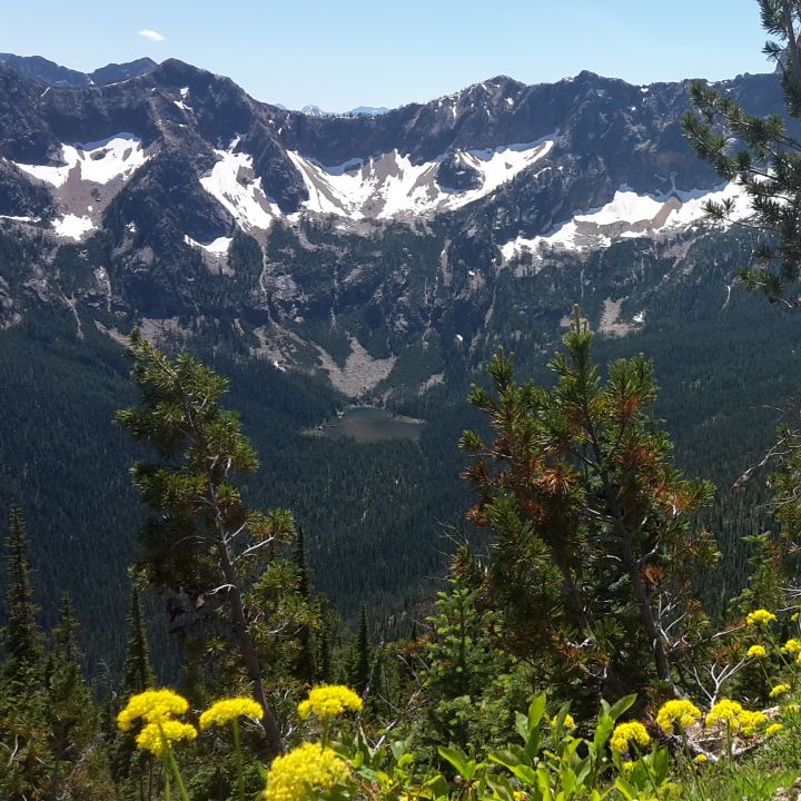 erfahrungsbericht-praktikum-usa-landwirtschaft-oekologischer-hof-wildnis-natucate