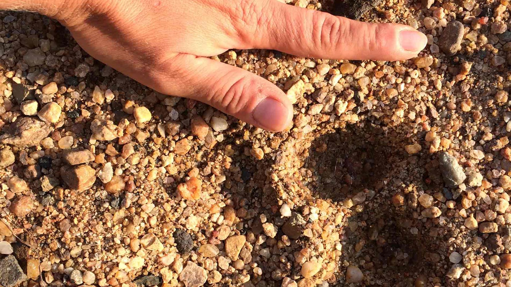 erfahrungsberichte-suedliches-afrika-pfg-rangerausbildung-tierabdruck-natucate