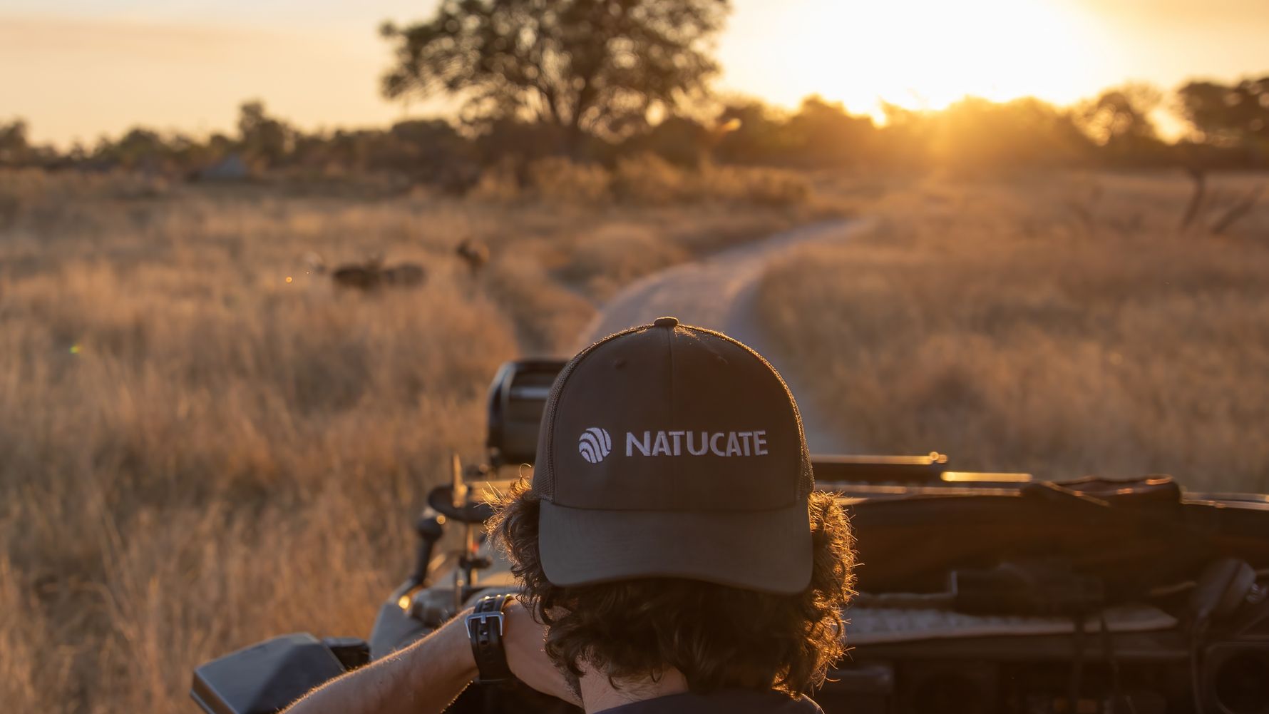 landingpage-guide-course-expert-sunset-game-drive