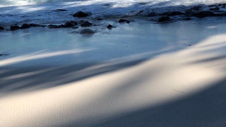 erfahrungsberichte-freiwilligenarbeit-seychellen-north-island-artenschutz-julia-strand-natucate