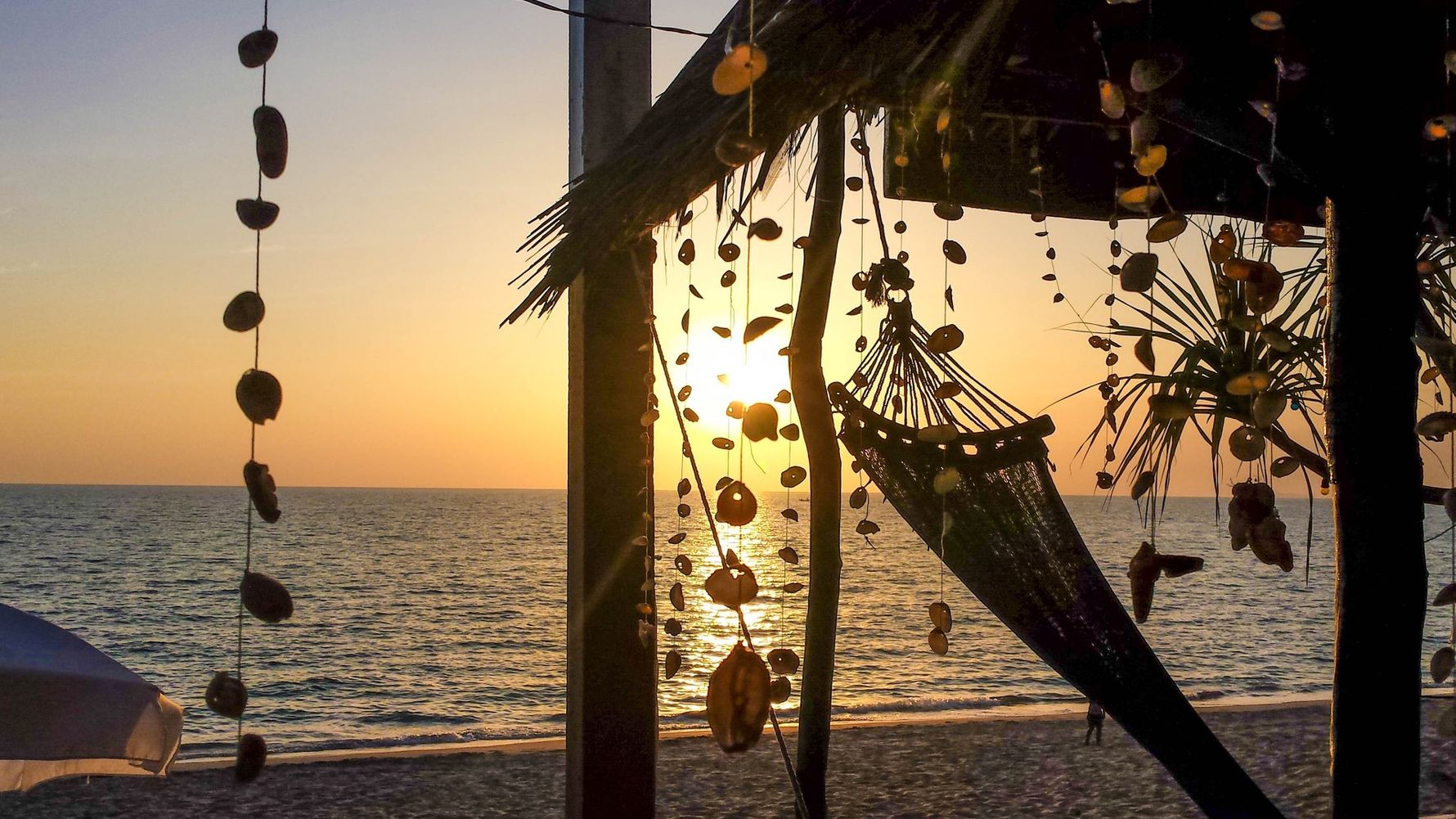 freiwilligenarbeit-thailand-erfahrungsbericht-kundenfotos-tierschutz-strand-natucate