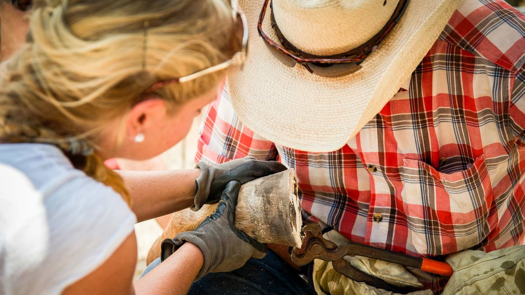 Volunteering with horses in the USA: Volunteer and instructor taking care of a hoof