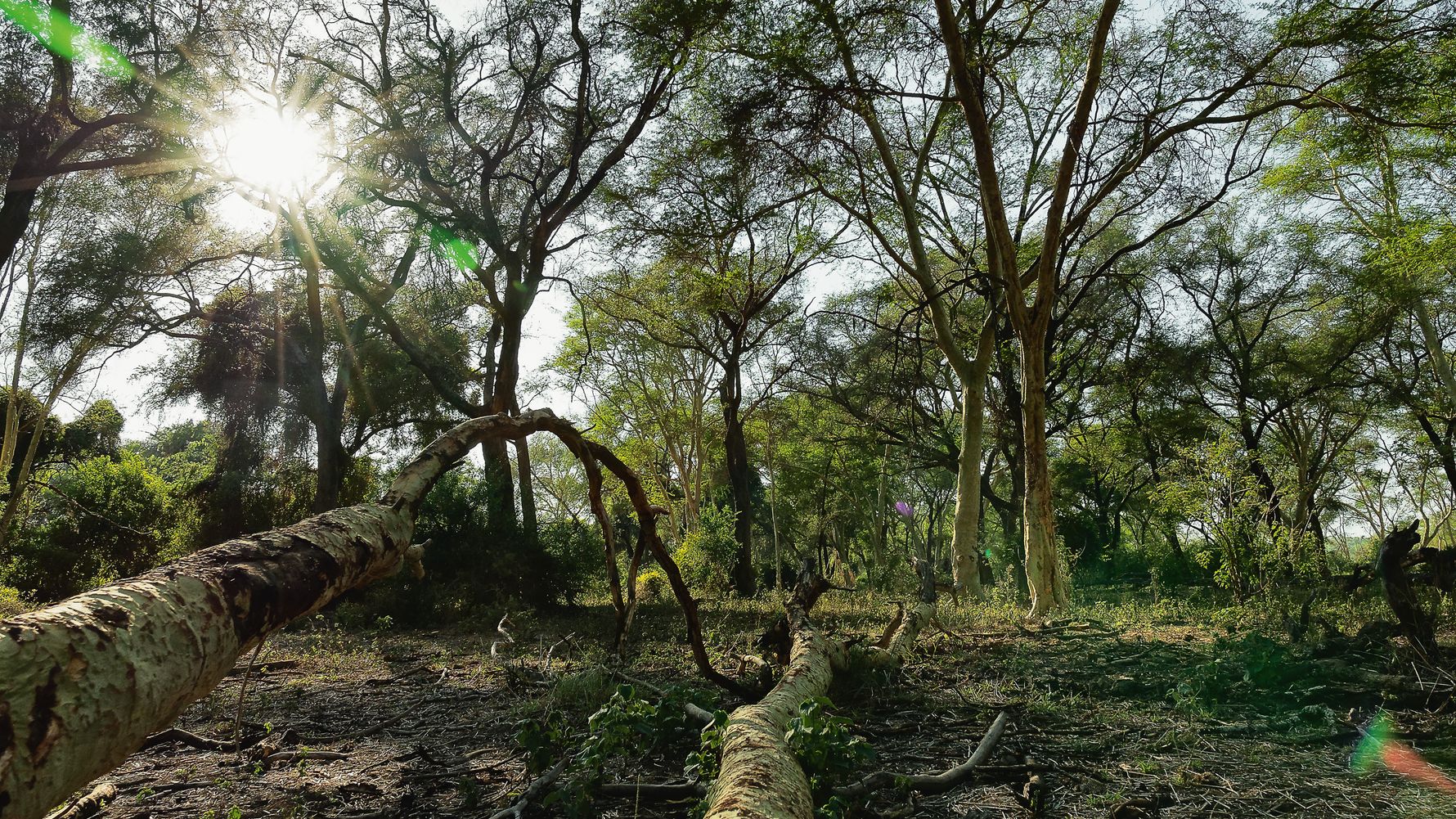 erfahrungsberichte-makuleke-rangerausbildung-wildnis-natucate