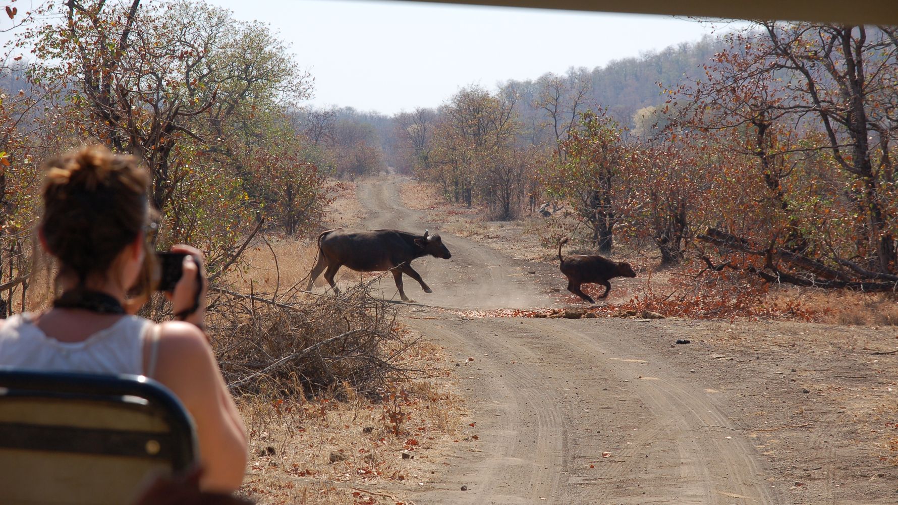 erfahrungsberichte-naturreise-afrika-private-wilderness-experience-lara-bueffel-natucate