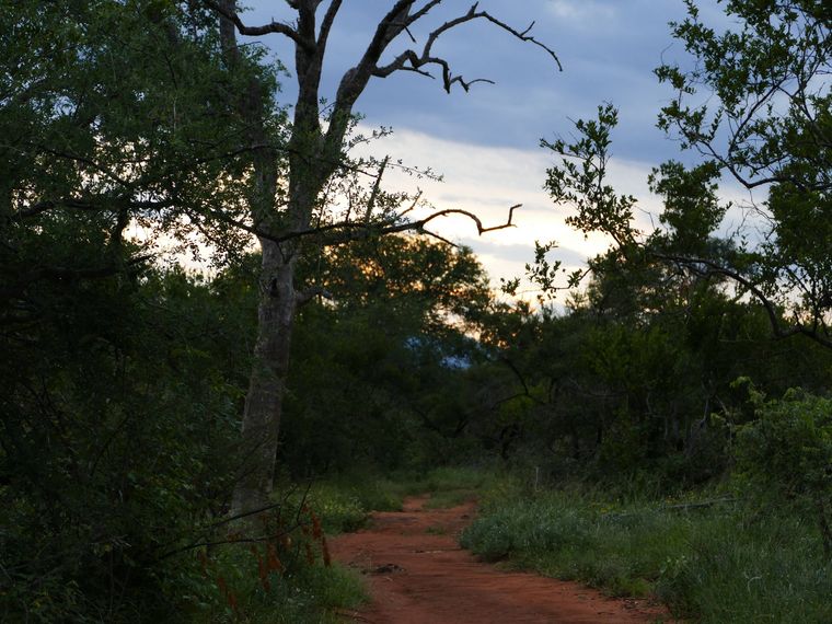 erfahrungsberichte-rangerkurse-suedafrika-field-guide-level-1-carina-savanne-natucate