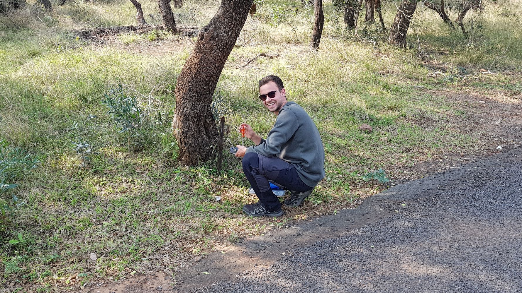 freiwilligenarbeit-suedafrika-artenschutz-wildtiere-reiseratgeber-natucate-blog