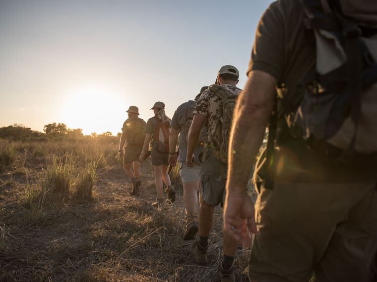 blog-ratgeber-ranger-ausbildung-ecotraining-webinar-game-walk-natucate