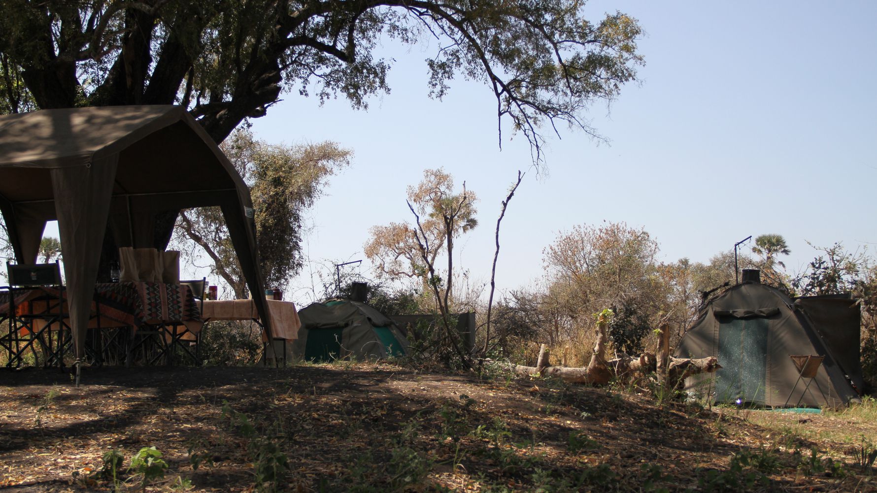 landingpage-digital-detox-reisen-safari-botswana-okavango-delta-camp-natucate