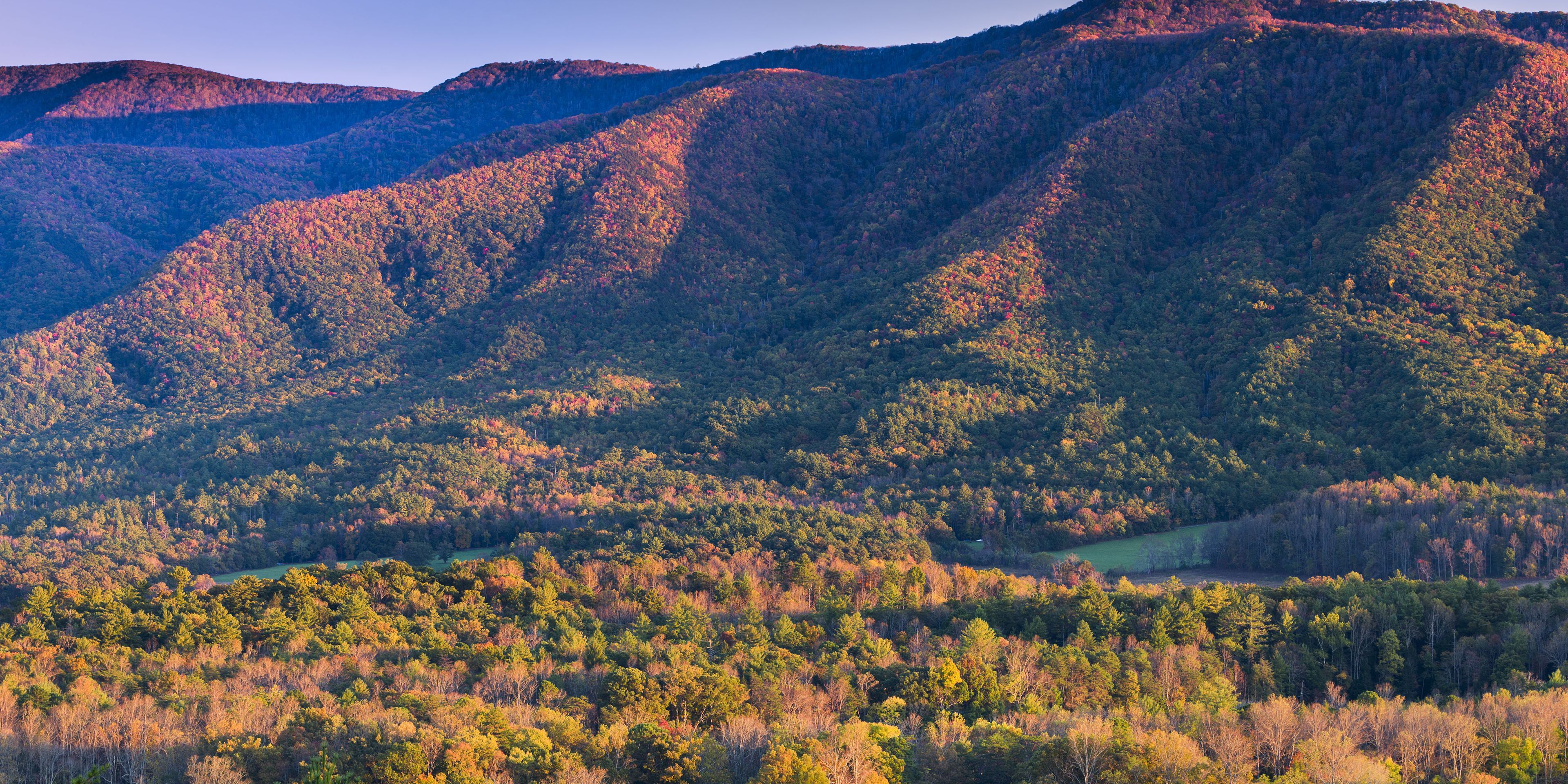 Looking over a hilly forest landscape in North Carolina, covered in beautiful autumn colours