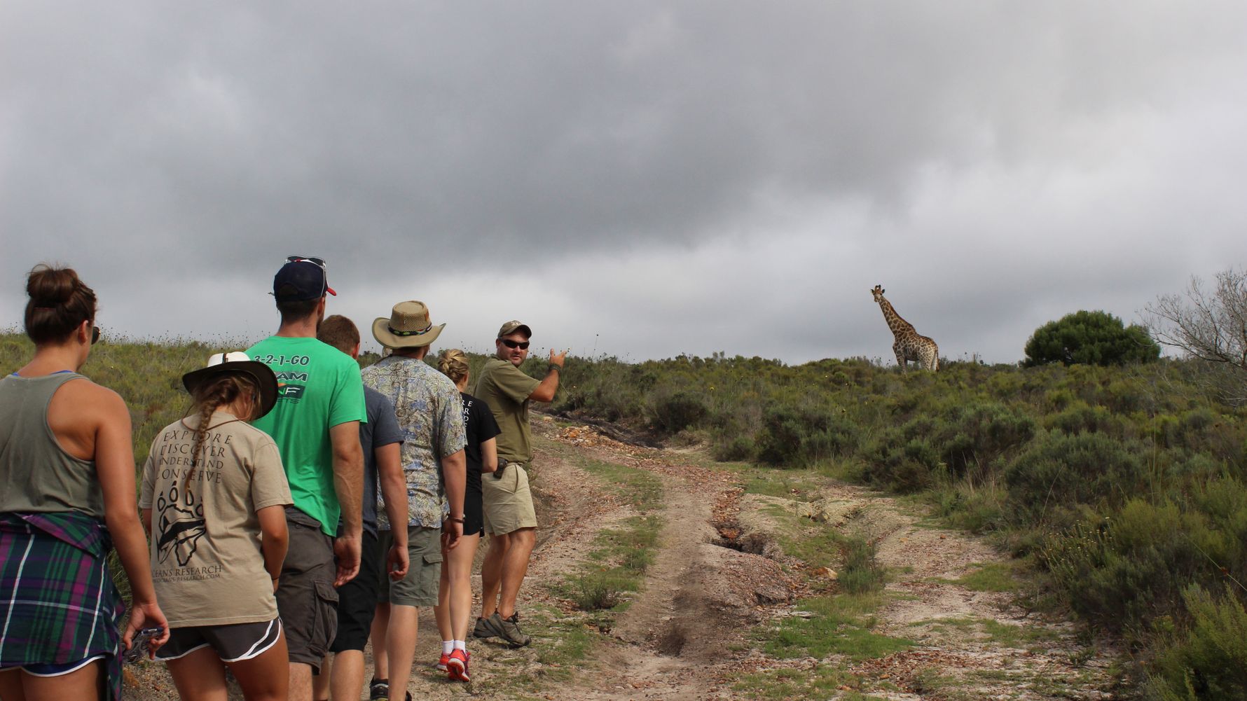 Volunteering Mossel Bay: Volunteers and instructor meeting a giraffe during a bush walk