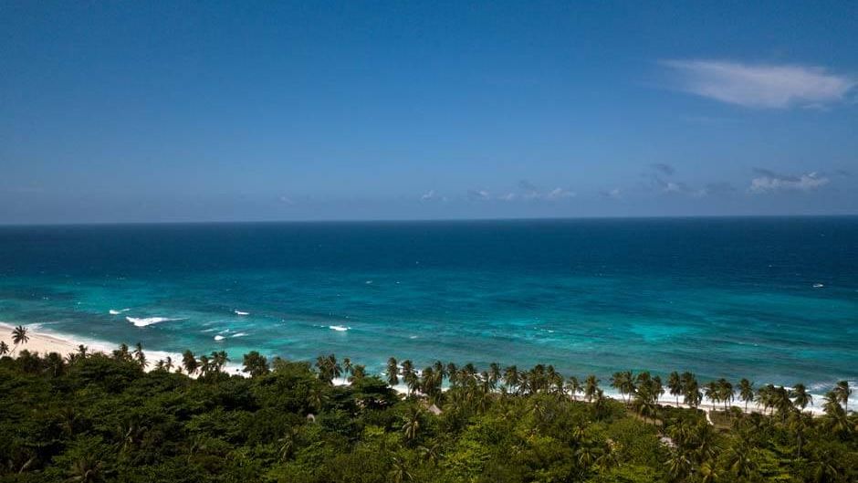 freiwilligenarbeit-seychellen-schildkroeten-artenschutz-natucate-8