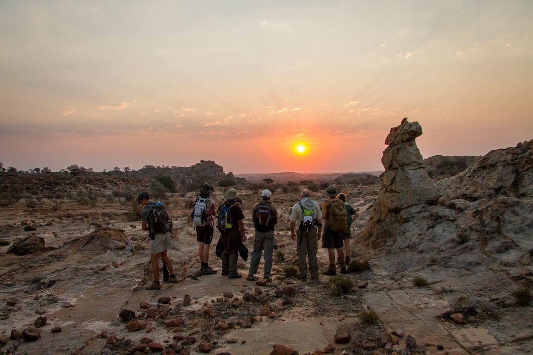 naturkurs-suedafrika-ecotracker-wildlife-monitoring-sonnenuntergang-natucate
