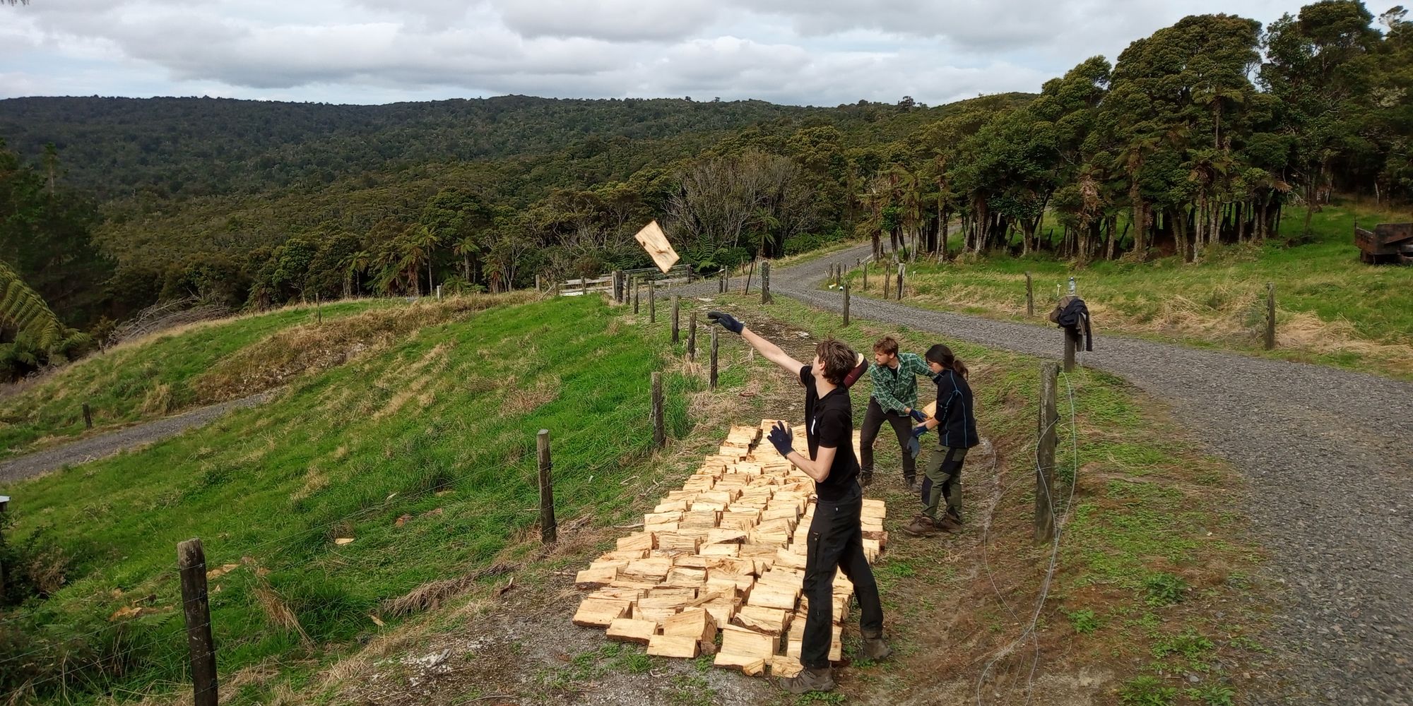 natucate-freiwilligenarbeit-neuseeland-holzarbeit
