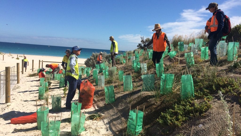 erfahrungsbericht-australien-sabbatjahr-kundenfotos-strandarbeit-natucate