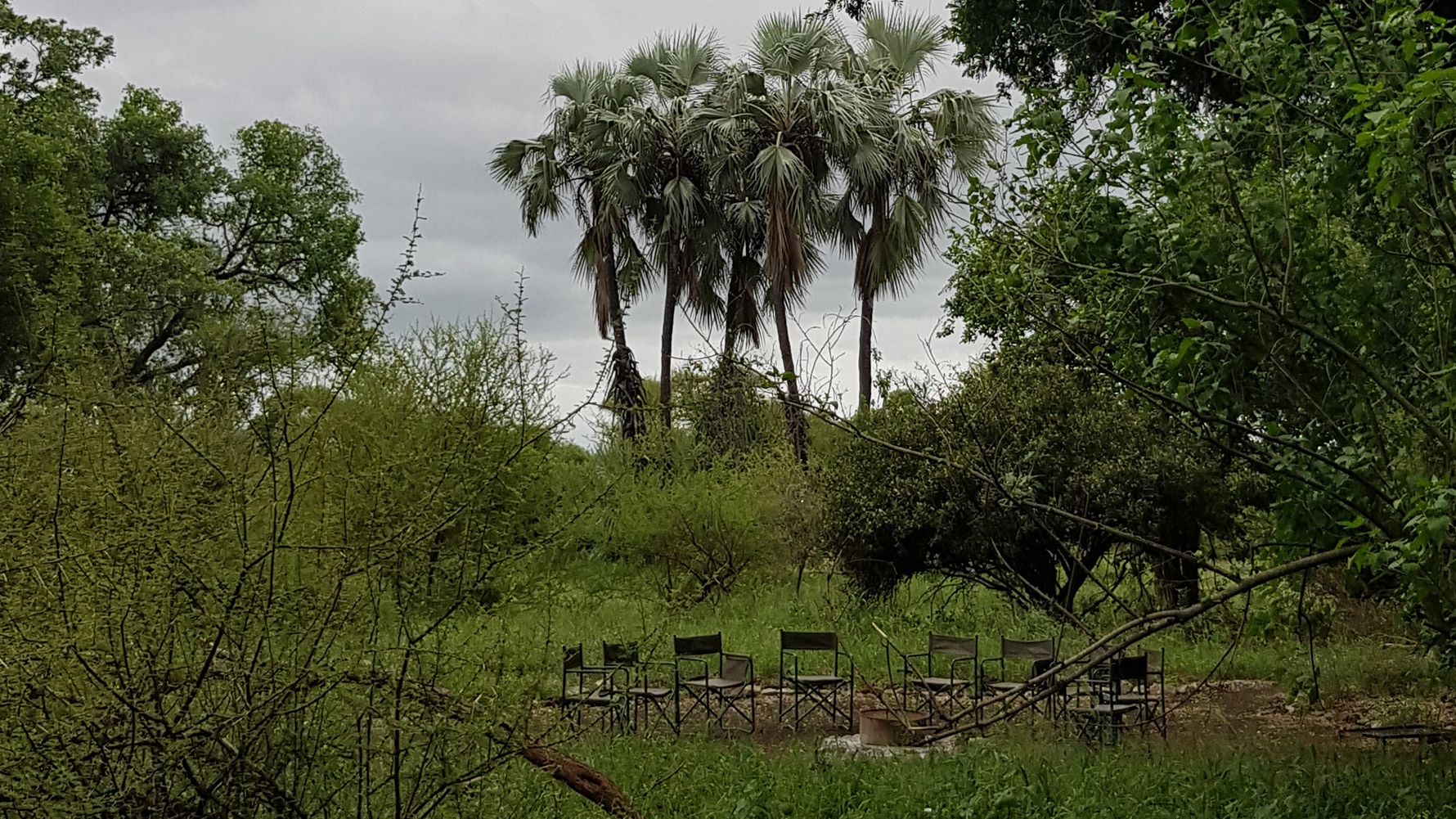 blog-news-projektbesuch-ecoquest-suedafrika-camp-makuleke-natucate