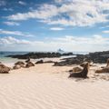 natucate-country-info-ecuador-galapagos-seals