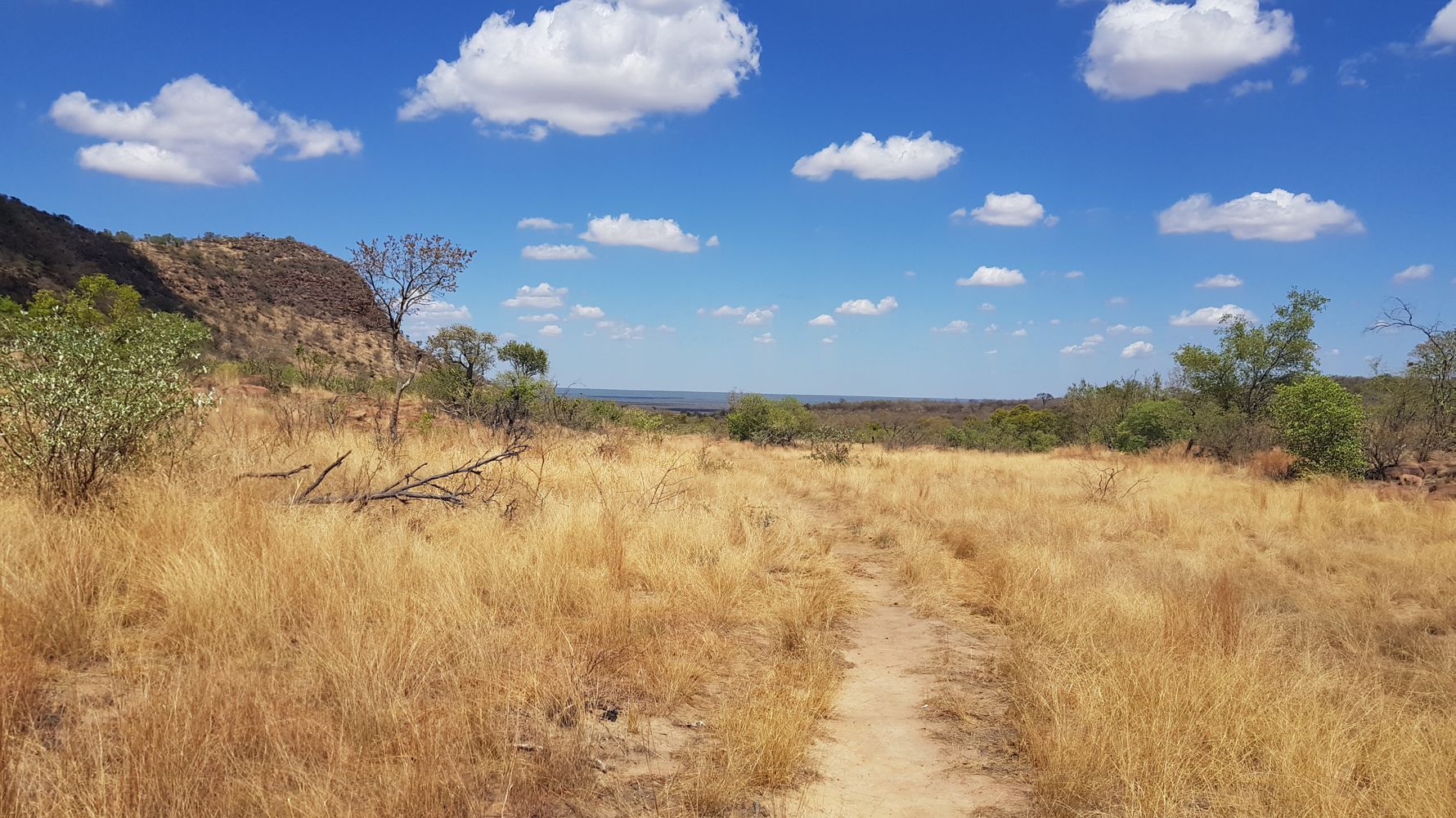 blog-ratgeber-reiseorte-marakele-nationalpark-strasse-natucate