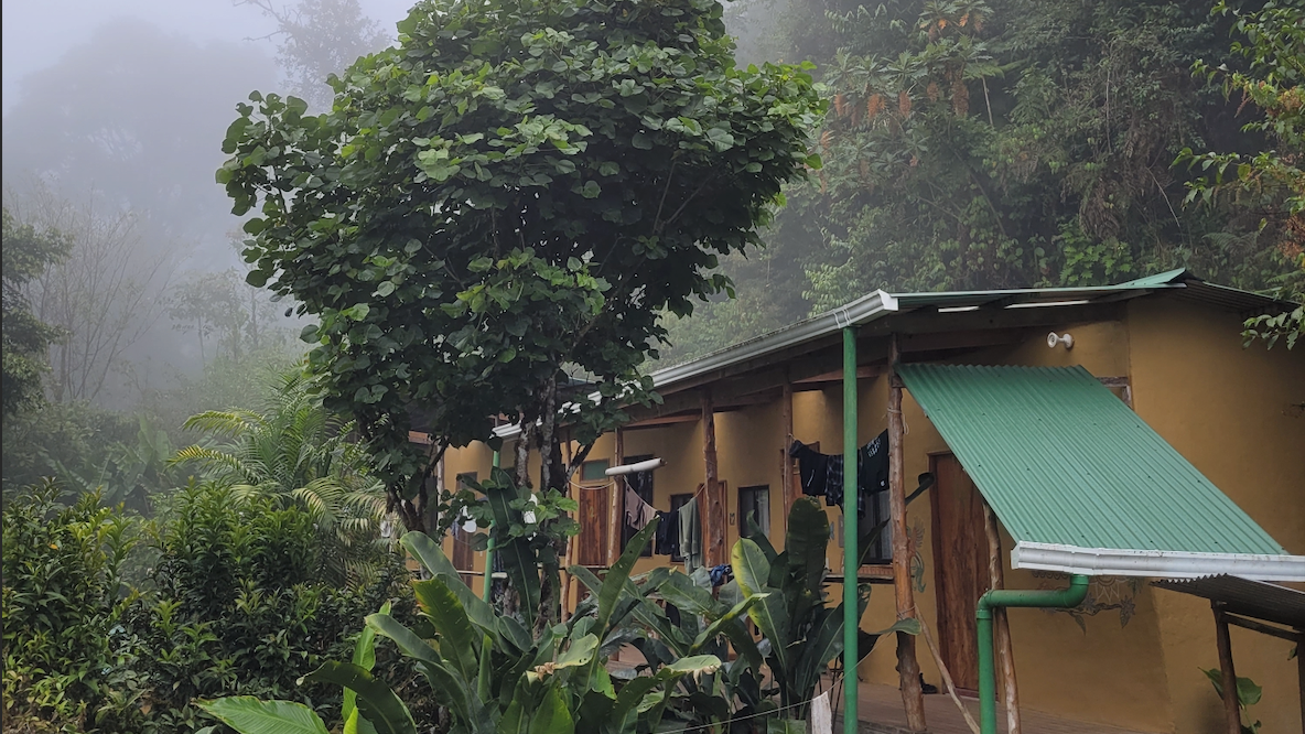 erfahrungsbericht-freiwilligenarbeit-costa-rica-forestconservation-lennart-accomodation-natucate.jpg