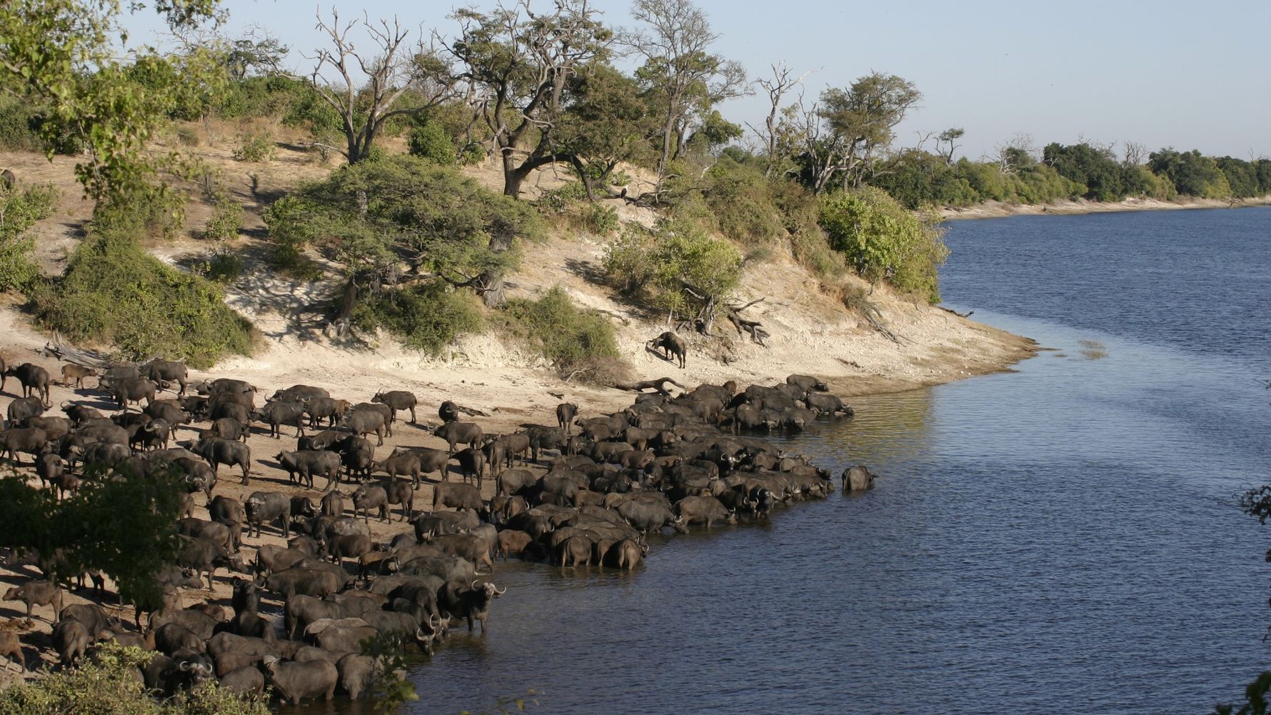 blog-ratgeber-botswana-chobe-elephant-camp-fluss-natucate